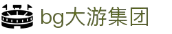 BG(大游集团)唯一官方网站-大游随心而下